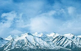 骚扰短信呼叫软件