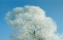 在线接收短信验证码